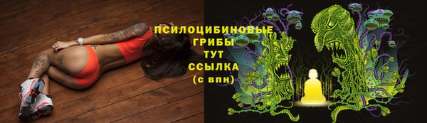 мяу мяу мука Абаза