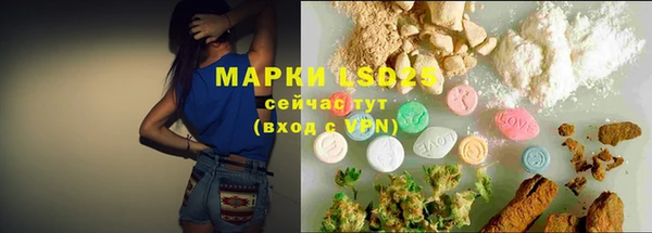 мяу мяу мука Абаза