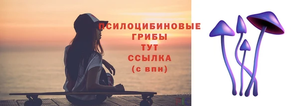 мяу мяу мука Абаза