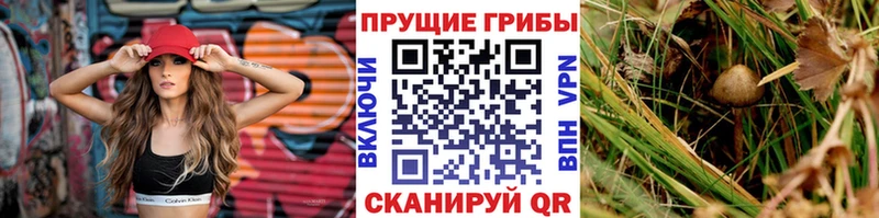 Галлюциногенные грибы Magic Shrooms Старый Крым